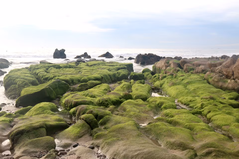 Cette plage est célèbre pour son paysage unique avec des formations rocheuses difficiles à trouver ailleurs, ce qui attire de nombreux visiteurs.