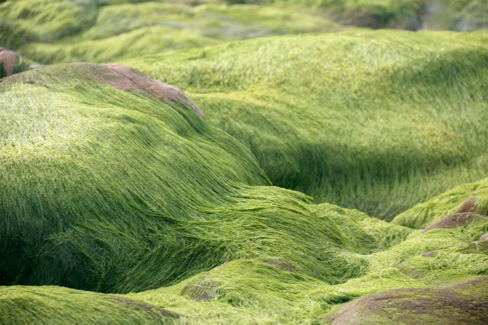 Cette plage est célèbre pour son paysage unique avec des formations rocheuses difficiles à trouver ailleurs, ce qui attire de nombreux visiteurs. 