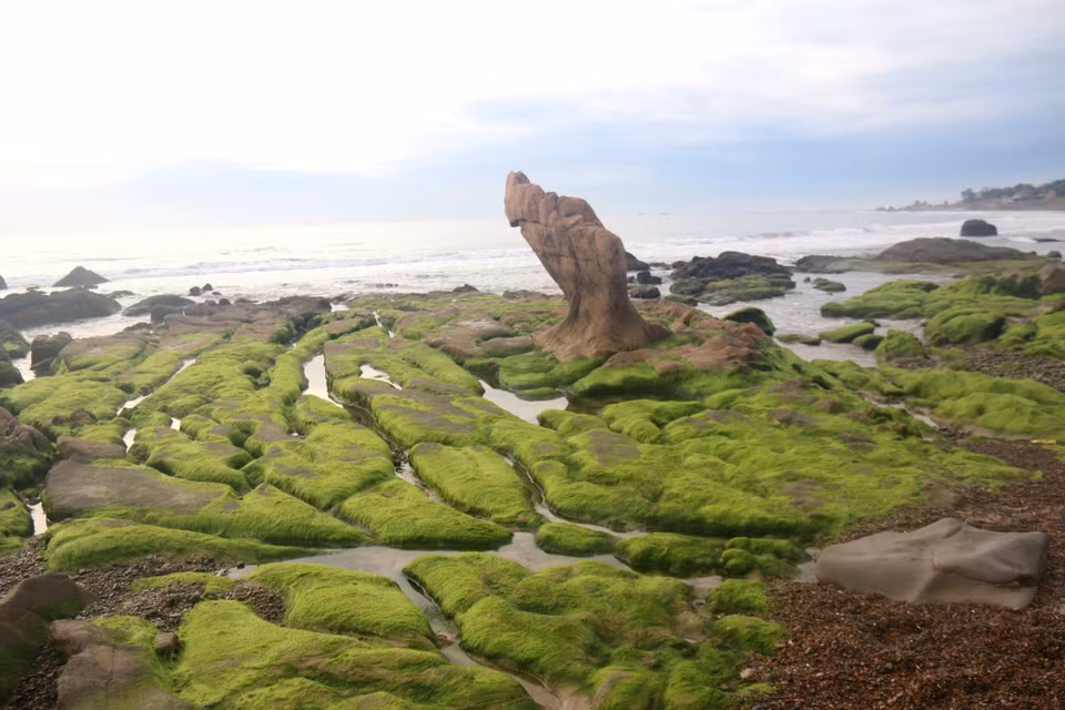 Les visiteurs semblent être perdus dans un endroit surréaliste et magique créé par l'espace des rochers, de la mousse verte et de la mer.