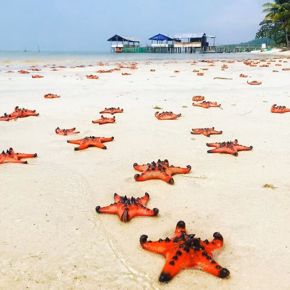 À seulement quelques kilomètres du port d'An Thoi, la plage de Sao a une beauté captivante avec du sable blanc entourant la côte incurvée. Cet endroit est toujours l'une des plages les plus populaires de l'île aux perles, Phu Quoc. Photo: bestprice