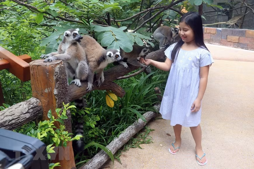 Des animaux à Vinpearl Safari Phu Quoc sont très amicaux avec les touristes. 
