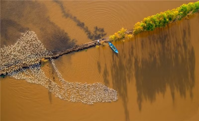 ...et à "Màu phù sa" (La couleur des alluvions) de Nguyen Hoang Nam.