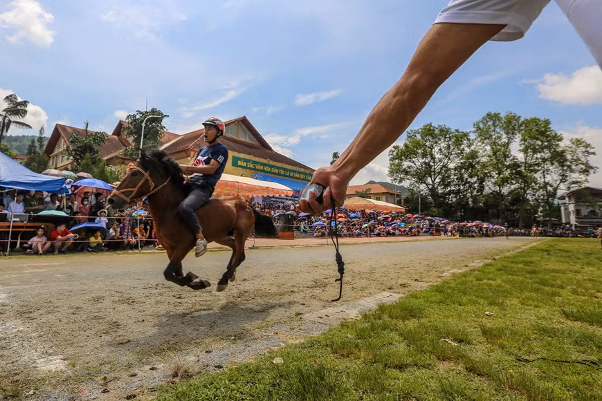 Des jours avant la compétition, les cavaliers-agriculteurs et les chevaux entraînent ensemble soit sur les chemins serpentés au district de Bac Ha, soit dans l’hippodrome de Bac Ha. Lors des compétitions, chaque cheval doit passer trois épreuves pour pouvoir être qualifié dans la phase finale. Les chevaux qui galopent à l’arrivée en les premières places sont strictement surveillés par le jury. Les cavaliers issus de plusieurs ethnies comme H’mong, Tày, Nùng… au district de Bac Ha et bien d’autres localités voisines de Lao Cai sont très courageux et habiles pour diriger leur cheval à galoper à l’arrivé dans les applaudissements de nombreux spectateurs. Photo: VietnamPlus