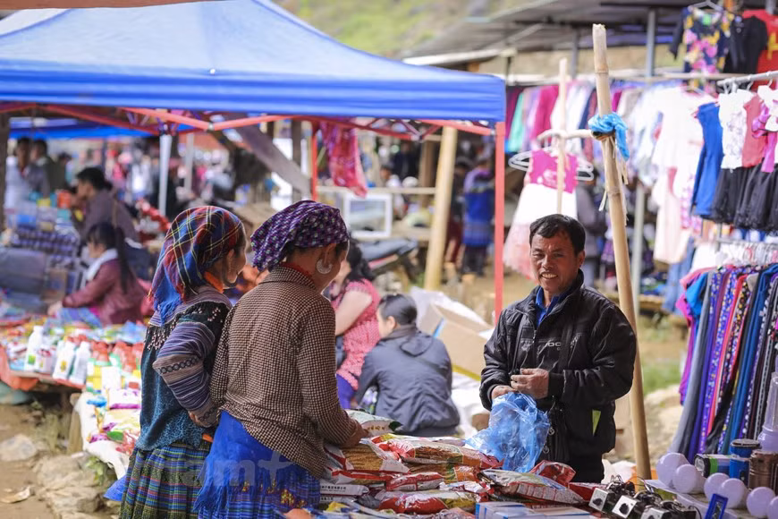Ce marché est le plus fréquenté entre la fin de la moisson et la remise en culture des rizières. Le marché de Cân Câu abrite notamment un secteur de vente des bestiaux, le deuxième plus grand de tout le Nord. Le nom de Si Ma Cai vient d’ailleurs de "Sin mà cai", c’est-à-dire "nouveau marché aux chevaux". Dans une vallée toute proche, des centaines de buffles et de chevaux paissent sous les yeux experts des acheteurs qui les examinent sous toutes les coutures et discutent des prix. Plus d’un millier de bêtes peuvent alors être vendues en une journée. Compte tenu de la qualité des bêtes, ce marché attire des commerçants venus d'autres districts voire des provinces de la plaine. Photo : Minh Son/Vietnam+ 