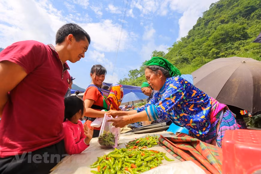 Lorsque les fleurs de pêcher s’épanouissent sur les flancs des montagnes de la région Nord-Ouest, il est temps d’aller découvrir le marché de Can Câu, dans le district de Si Ma Cai, province septentrionale de Lao Cai. Les couleurs chatoyantes des vêtements traditionnels des nombreuses ethnies vivant au Nord-Ouest comme H'mong, Giay... se mêlent aux hennissements des chevaux et aux rires des montagnards. Ce marché se tient une fois par semaine, le samedi, sur une colline à côté de la route menant à la commune de Cân Câu. Dès potron-minet, les chemins rocailleux sont encombrés de gens et de chevaux transportant de lourds baluchons. Photo : Minh Son/Vietnam+