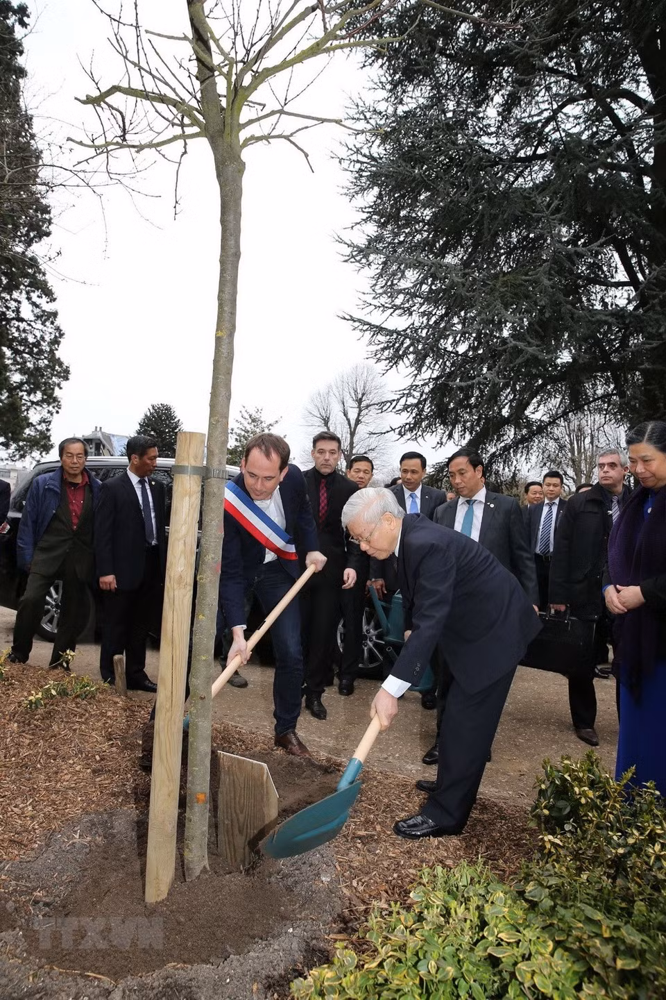 Le secrétaire général du PCV plante un arbre du soutenir dans l’Espace Hô Chi Minh.