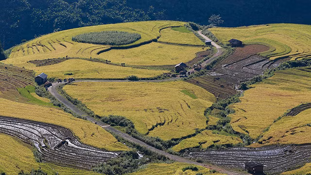 Les « cascades de riz » ondulent comme des vagues le long de la vallée, au pied de la montagne, rehaussant ainsi la beauté naturelle de A Lu.