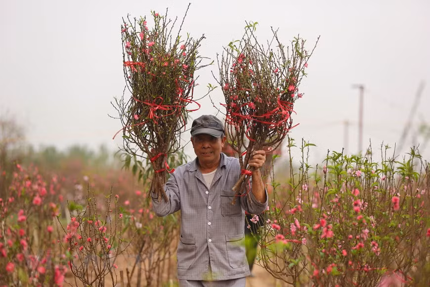 Photo: Minh Son / Vietnamplus