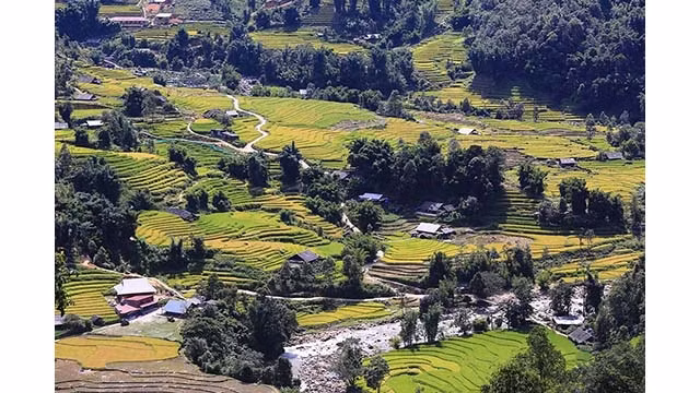 Située à environ 10 km du bourg de Sa Pa, près de la cascade Thac Bac vers la vallée de Muong Hoa, différente de l'agitation de Sapa, la vallée de Ta Van-Lao Chai (au Nord-Ouest du Vietnam) est un endroit paisible et doux pour les touristes qui aiment explorer la nature et la vie des habitants montagnards.
