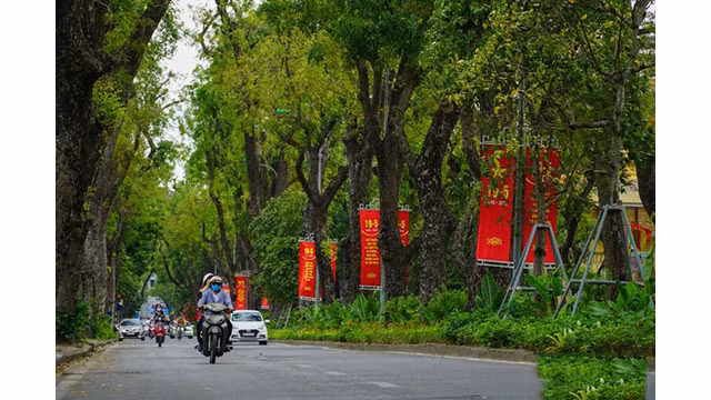 Rue Hoàng Diêu.