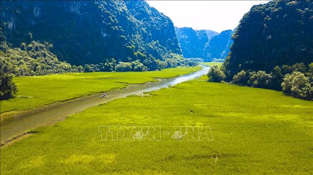 Les rizières s'étendent du pied des montagnes calcaires jusqu'au milieu de la rivière.