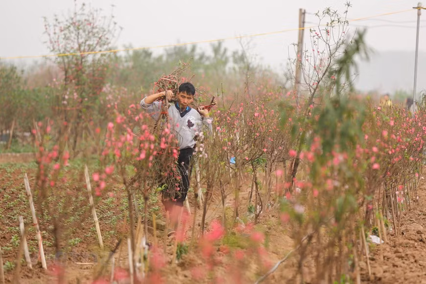  Photo: Minh Son / Vietnamplus