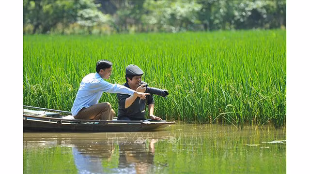 Tam Côc à la saison du riz verdoyant attire de nombreux touristes.