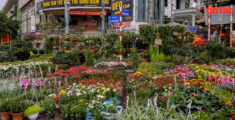 Le marché aux fleurs de Hoang Hoa Tham, également connu sous le nom de rue des bonsaïs, devient une destination de prédilection des amoureux des fleurs et des plantes d’agrément. 