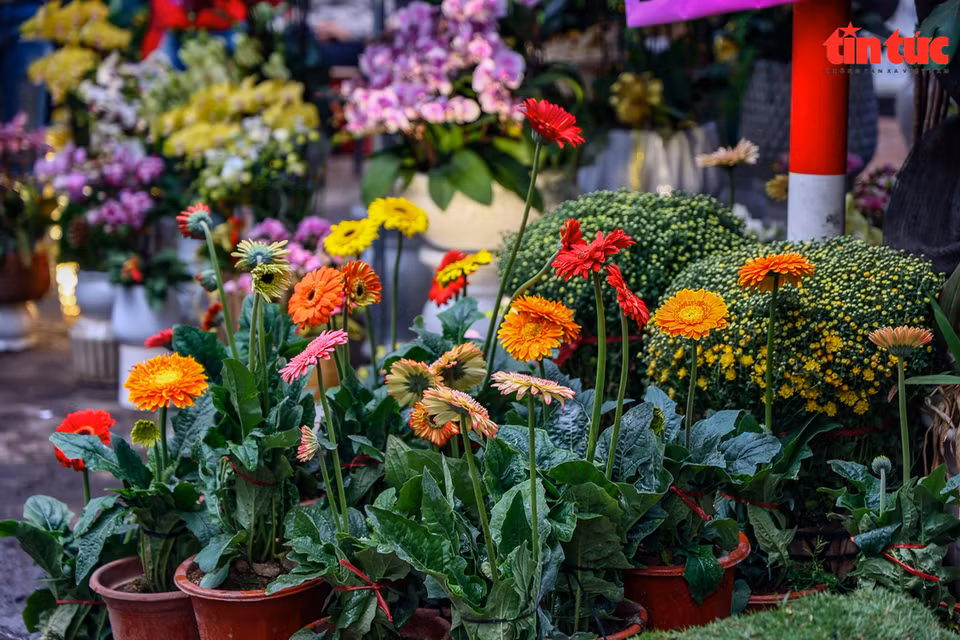 Le marché aux fleurs de la rue Hoang Hoa Tham est toujours animé. 