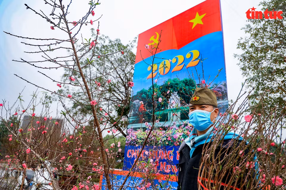 La rue Lac Long Quan devient la rue des fleurs de pêchers à l’approche du Têt.