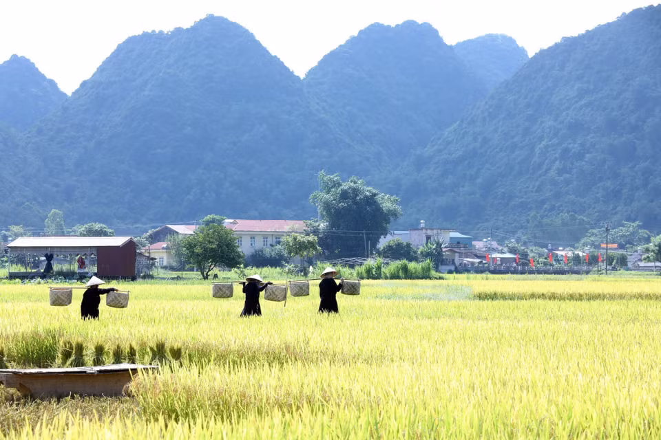 C'est une destination attirant beaucoup des touristes et photographes. 