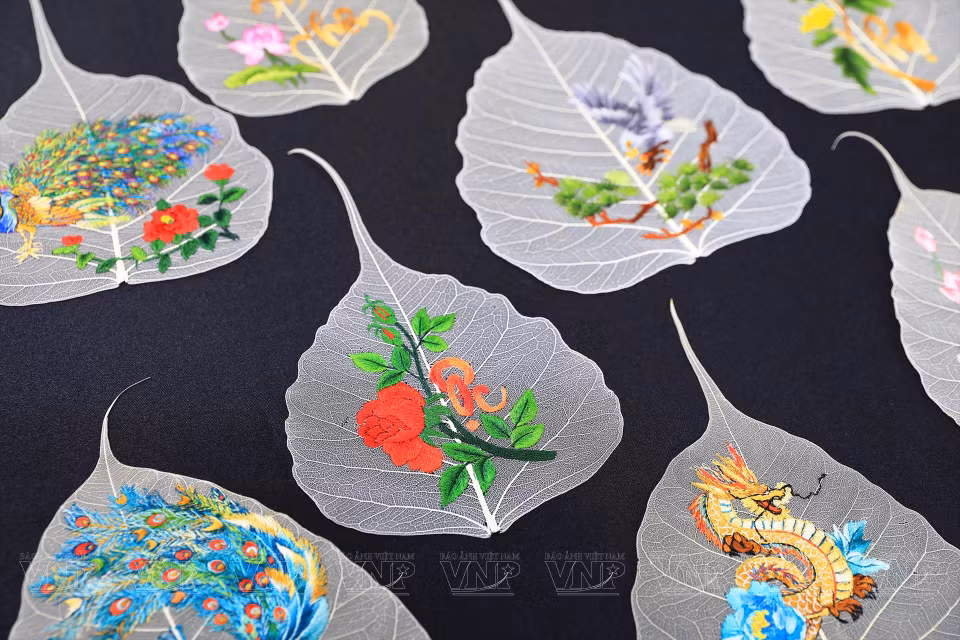 À partir de simples feuilles de Bodhi, Mme Quan Thi Cuc crée des œuvres d'art uniques et admirables. 
