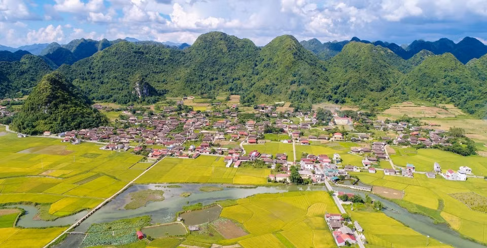 En juillet et novembre, à la saison du riz mûr, les rizières de la vallée de Bac Son (district éponyme, province de Lang Son) se parent d’une beauté époustouflante.