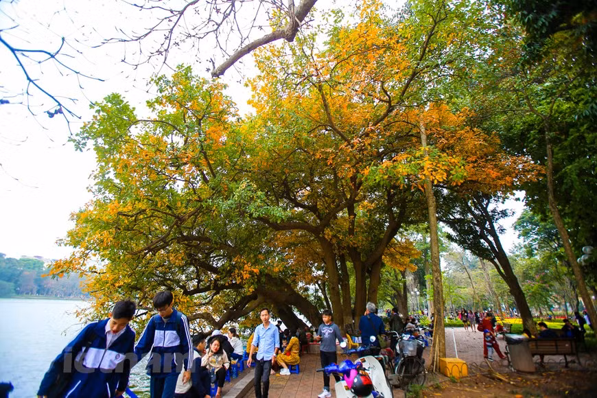 Photo : The Dai/Vietnam+ 