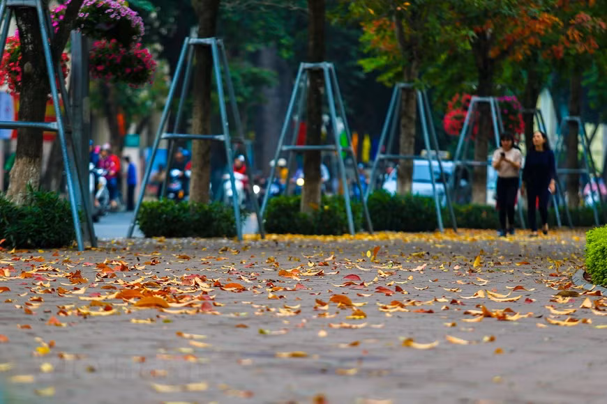 Photo : The Dai/Vietnam+ 