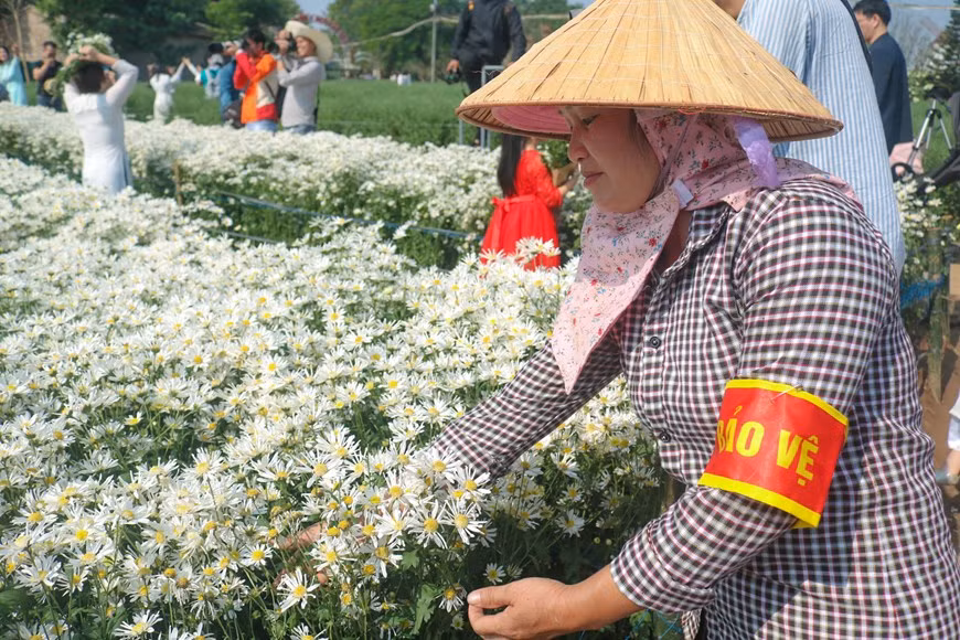 Selon l’horticultrice Luong Thi Mau, le jardin de fleurs Song Hong attire un grand nombre des gens. Photo : Thu Uyen/Vietnam+
