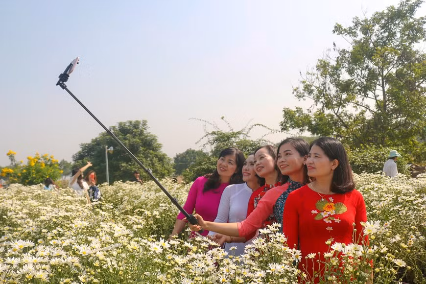 Mme Ha Kim Thuy, venue de l’arrondissement Bac Tu Liem, à Hanoï, a partagé que la floraison de marguerites Daisy constituait une excellente opportunité d'immortaliser de beaux moments avec ses amies. Photo : Thu Uyen/Vietnam+