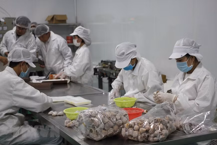 L'emballage des produits fins. Photo: VNA 
