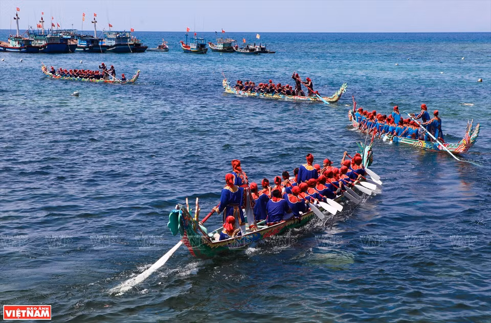 La course est baptisée"Tu Linh" car chaque bateau a comme nom un animal des quatre animaux sacrés du Vietnam que sont le dragon, la licorne, la tortue et le phénix.