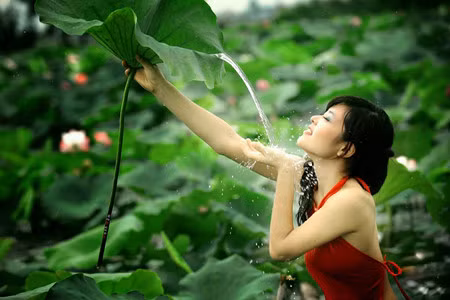 Les propriétaires des marais de lotus, de leurs côtés, apportent aux clients un accueil chaleureux ! L’entrée est gratuite. On doit payer seulement pour l’achat des fleurs. 