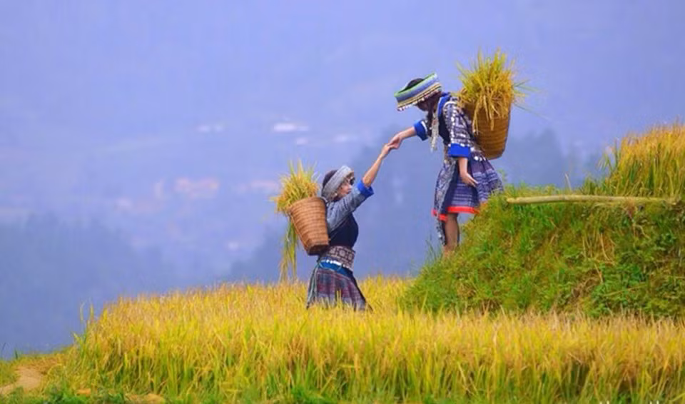 Mu Cang Chai pendant la saison des récoltes du riz.
