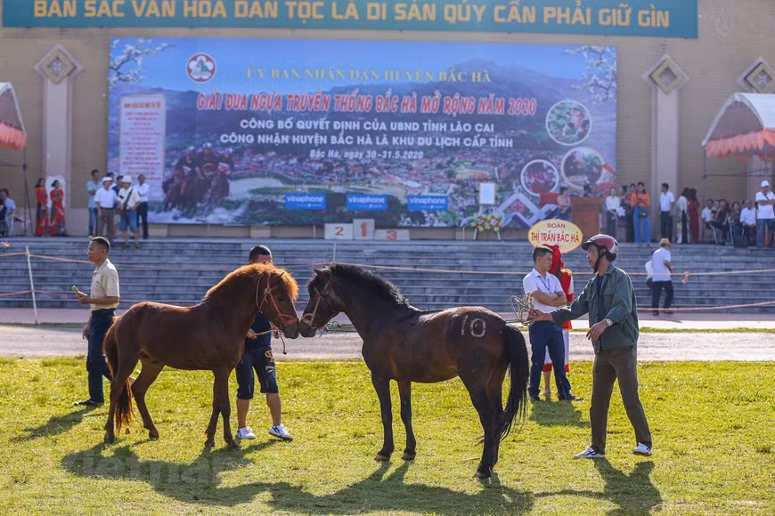 Dans la matinée du 31 mai, la finale de la course hippique de Bac Ha 2020 a officiellement eu lieu sur l’hippodrome de Bac Ha, district du même nom dans la province montagneuse de Lao Cai. Photo: VNA