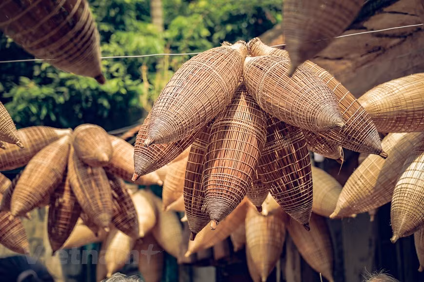 Les nasses en bambou sont utilisés pour attraper des poissons et des crevettes dans les eaux peu profondes des ruisseaux et rivières.