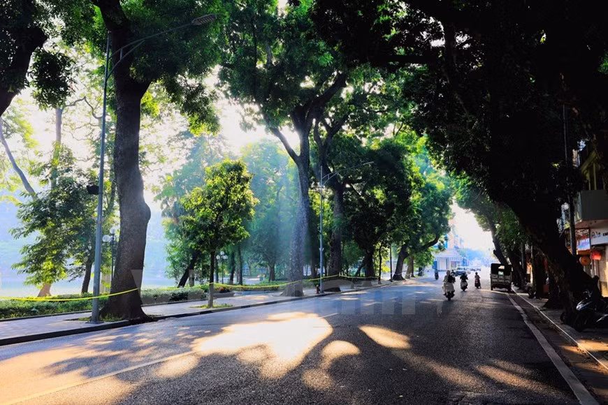 Pour beaucoup de gens, l'automne est le meilleur moment pour visiter et profiter de la capitale. Pendant la saison, Hanoï revêt une tenue romantique et charmante grâce au beau temps, aux arbres jaunes qui tombent, à la bonne nourriture délicieuse. Cependant, cette année, les mesures de distanciation sociale pour empêcher la propagation de la pandémie de COVID-19 a rendu l'automne dans la capitale plus spécial. Il n'y a donc pas de vendeurs de rue vendant des fleurs ou des délices très attendus comme le "cốm" - riz gluant jeune en granuels aplatis, cadeau spécial de l’automne. Étant donné que ses saveurs sont subtiles, les Vietnamiens peuvent le combiner avec d'autres ingrédients pour faire de délicieuses friandises. Photo: VietnamPlus