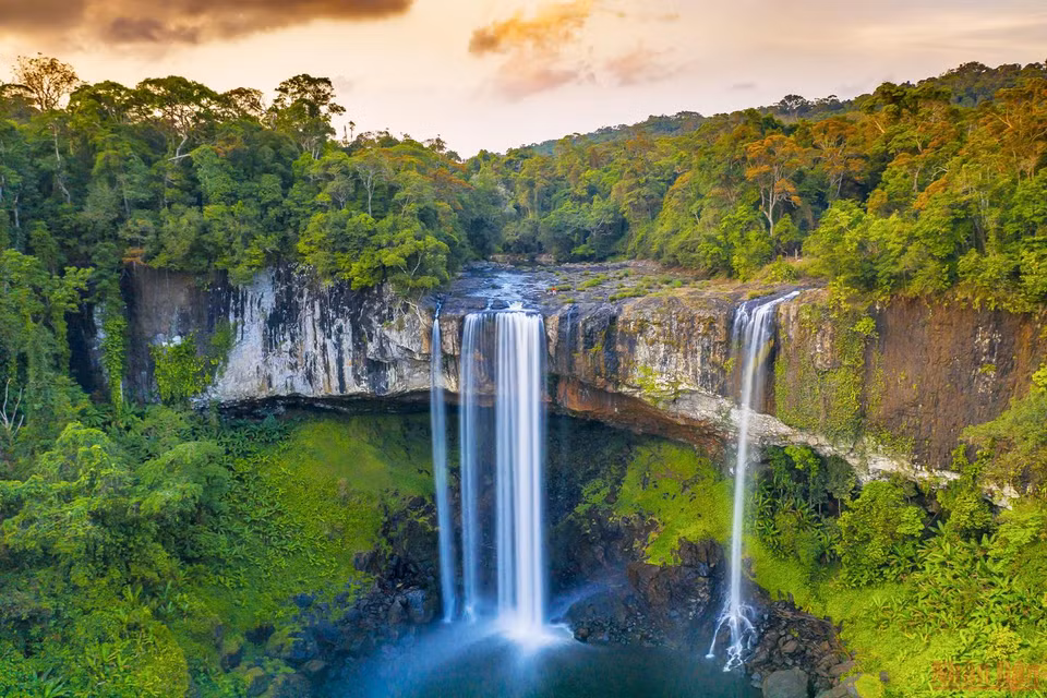 Se rendre à la cascade de Hang En est un défi car les voyageurs doivent traverser durant deux jours une jungle dense. Photo: nhandan.vn