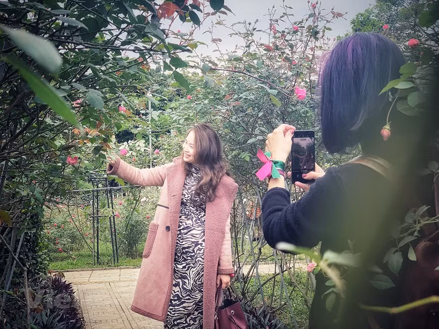 Des fleurs colorées séduisent les touristes. Photo: Vietnam+