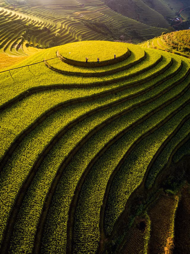 La photo de champs en terrasses à Mù Cang Chai dans la province septentrionale de Yên Bái par Thiên Nguyên classée 4e dans le top 5 des meilleures photos dans la catégorie Nature/Paysage. L’auteur a expliqué qu’en septembre et octobre, les champs en terrasses de Mù Cang Chai virent au jaune. C’est également le meilleur moment pour capturer la beauté de ce paysage.