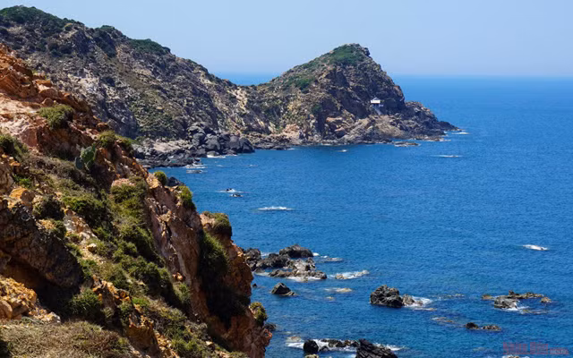 Avec les avantages d'un paysage rare et d'un écosystème marin diversifié, Nhon Ly est considéré comme un paradis maritime dans la région centrale, avec les sites et paysages les plus célèbres de la province de Binh Dinh tels que Ky Co, Eo Gio, Hon San et la colline de sable de Phuong Mai.