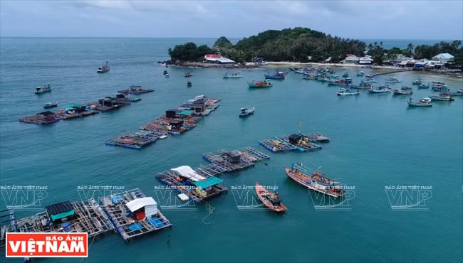 Radeaux d'aquaculture. 