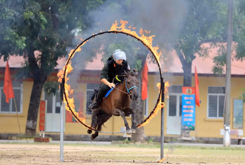 Les soldats de la Police mobile à cheval sont bien formés et maîtrisent les connaissances de base de leur métier et les méthodes d’entraînement. Photo : VNA 