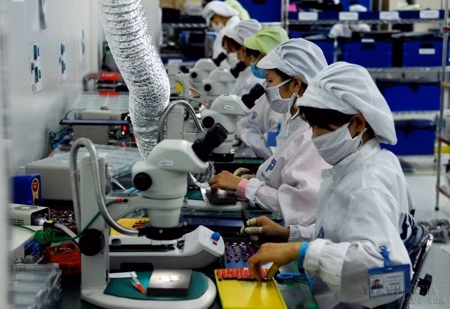  En tant que main-d'œuvre sociale importante, les femmes vietnamiennes démontrent leur rôle, leurs capacités et leur créativité dans tous les domaines de la vie sociale. Photo: VNA 