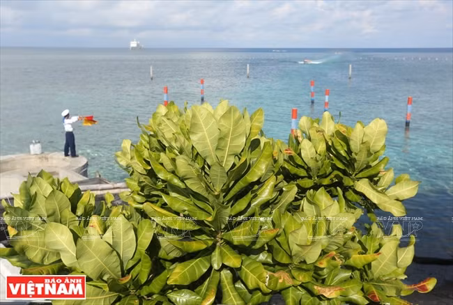 Espace vert sur l'ile. Photo: Thong Thien