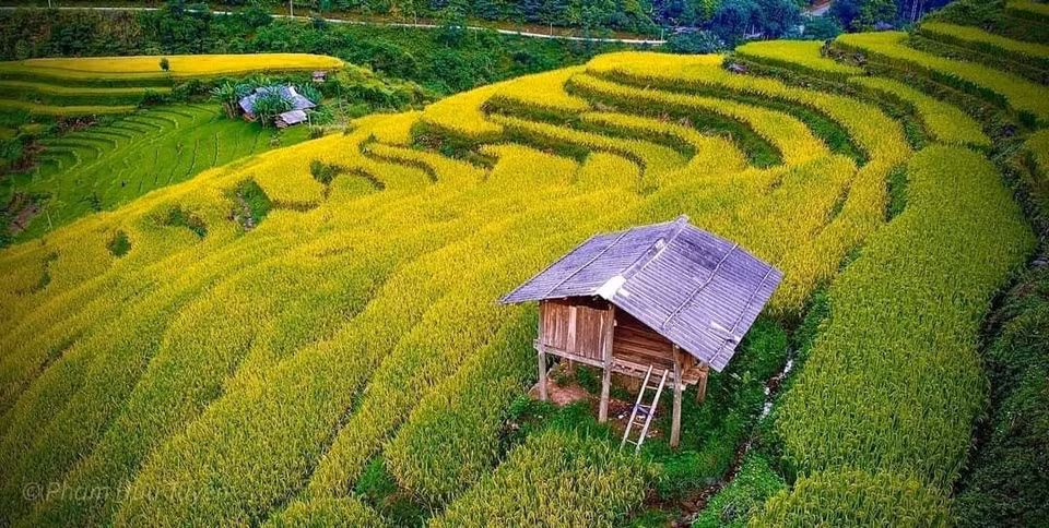 Beauté charmante des champs en terrasses dans la commune de Hung Dao, district de Bao Lac. Photo: VNA