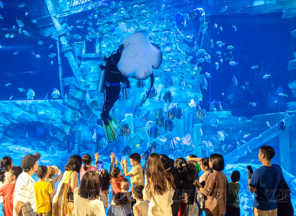  De nombreuses familles choisissent l'aquarium comme lieu de divertissement le week-end. Photo: VI 