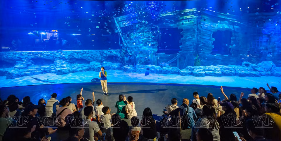  Les visiteurs découvrent le plus grand réservoir incurvé en acrylique d'Asie du Sud-Est à l'aquarium Lotte World de Hanoi. Photo: VI 