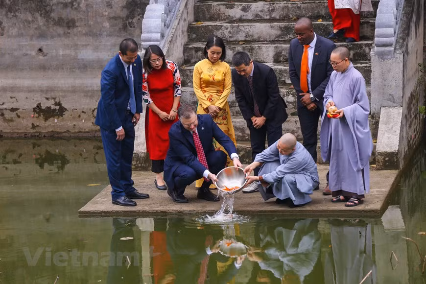 L'ambassadeur américain au Vietnam, Daniel J.Kritenbrink, relâche des carpes dans un lac pour faire ses adieux aux Génies du Foyer. Photo: VietnamPlus