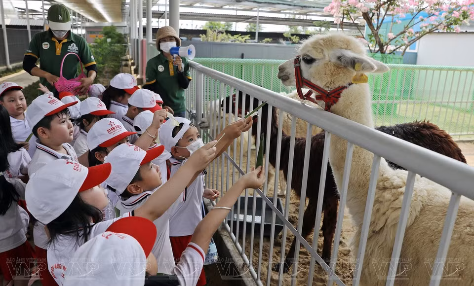 Des enfants ravis de nourrir des animaux. 