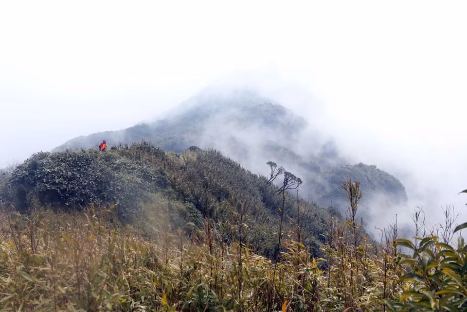 A plus de 3.000m d'altitude, la chaîne de montagnes Bach Moc Luong Tu est souvent recouverte de nuages, créant une scène mystérieuse. Photo: VNA 