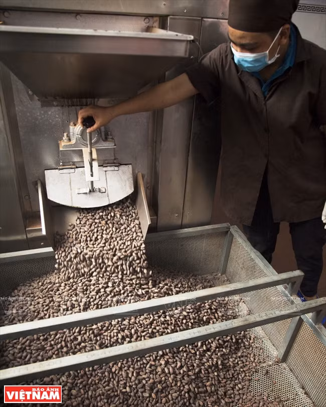  Les fèves de cacao sont torréfiées. 