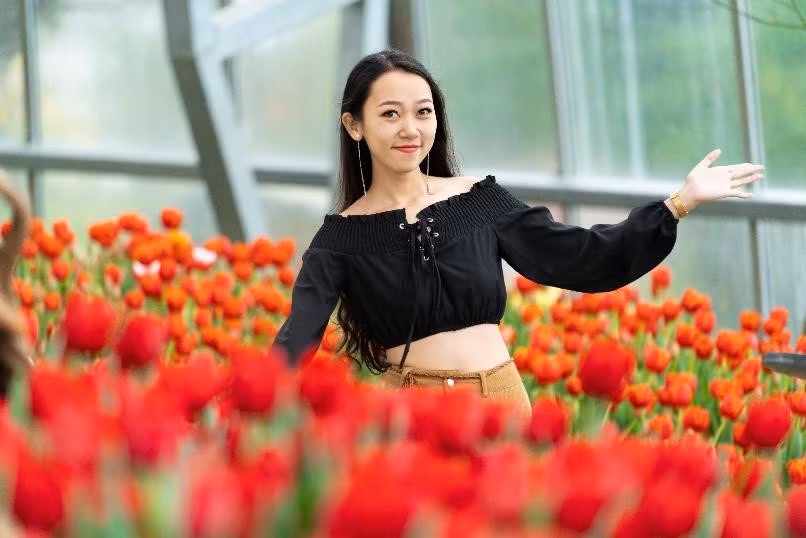  Le festival présente une grande variété de belles tulipes offrant tout un éventail de couleurs vives. 